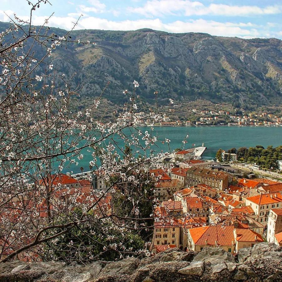 Апартаменты Old Town Kotor Square Экстерьер фото